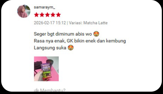Review FUELIN